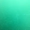 鳴門渦潮の写真_152525