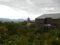 清水寺の写真_152558