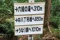 阿寺渓谷の写真_152738