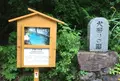 阿寺渓谷の写真_152756