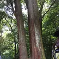 伊勢神宮外宮（豊受大神宮）の写真_152859