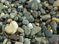 ヒスイ海岸の写真_152901