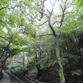 養老の滝の写真_153170
