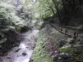 養老の滝の写真_153173