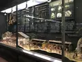 史跡佐渡金山の写真_153463