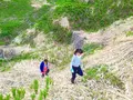 農家民宿 新助の写真_153529