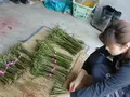 農家民宿 新助の写真_153533