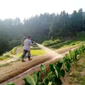 農家民宿 新助の写真_153548