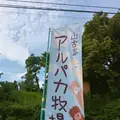 山古志アルパカ牧場の写真_153552