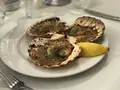 The Spiny Lobsterの写真_153727