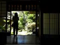 旧今井家住宅・美濃史料館の写真_153806