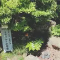 旧今井家住宅・美濃史料館の写真_153809