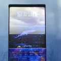Sea Life London Aquariumの写真_153829
