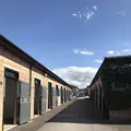 チェルトナム・レースコースの写真_154097