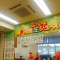 道の駅 七城メロンドームの写真_154146