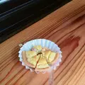 にこにこひろばの写真_154301