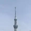 浅草の写真_154566