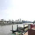 隅田川の写真_154581