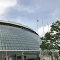 東京ドームの写真_154589