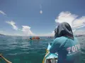 セブ島の写真_155586