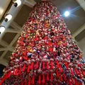 越後妻有里山現代美術館キナーレの写真_155760