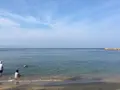 夢海游 淡路島の写真_155796