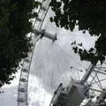 ロンドン・アイの写真_155858