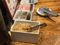 一風堂 六本木店の写真_156123