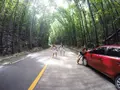 フィリピン ボホール島の写真_156190