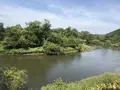 くしろ湿原ノロッコ号の写真_156227