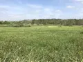 くしろ湿原ノロッコ号の写真_156229
