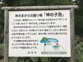 神の子池の写真_156238