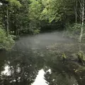 神の子池の写真_156239