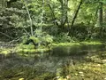 釧路川源流の写真_156243