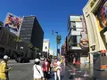 ハリウッド・ウォーク・オブ・フェームの写真_156333