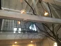 カフェ　オトノヴァの写真_156530