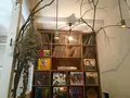 カフェ　オトノヴァの写真_156532