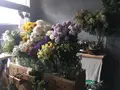 from afar（フロムアファー ）の写真_156561