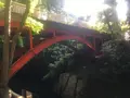 等々力渓谷の写真_156607