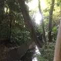 等々力渓谷の写真_156609