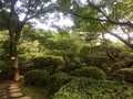 等々力渓谷の写真_156610