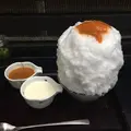 霧原の写真_156708