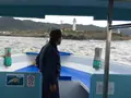野島埼灯台の写真_156895