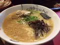 小金ちゃんの写真_157288