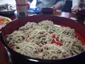 利賀村の写真_157472