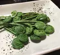 利賀村の写真_157477