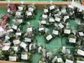 JAファーマーズマーケットやえやま ゆらてぃく市場の写真_157601