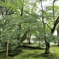 二尊院の写真_157682