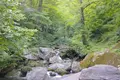阿弥陀ケ滝の写真_158151