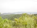 加太・友ケ島の写真_158168